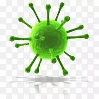 免疫系统感染免疫传染病营养蠕虫病毒