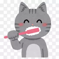 猫牙刷牙周病牙医牙菌斑-猫