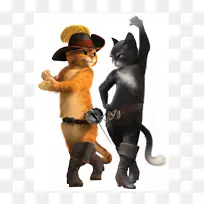 猫软爪子适应靴子猫t恤