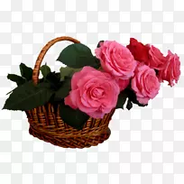 玫瑰桌面壁纸图片花卉png图片-玫瑰