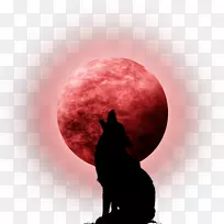 月食超级月亮剪辑艺术日食-月亮
