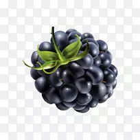 剪贴画图形黑莓浆果png网络图.黑莓
