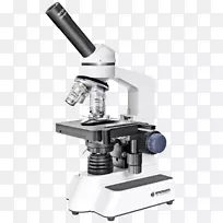 光学显微镜光学双筒望远镜电子显微镜