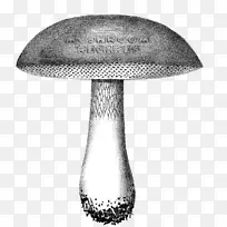 蘑菇剪贴画水墨图像-蘑菇
