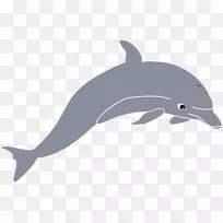 剪贴画海豚开放图片免费内容-海豚