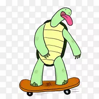 剪贴画海龟滑板画-海龟
