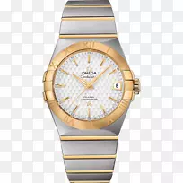 omega sa omega星座天文表同轴分度表