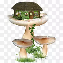 png图片仙女住宅图片剪贴画仙女