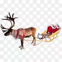 驯鹿圣诞老人剪贴画png图片透明度驯鹿