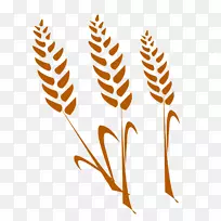 小麦谷物农业免费形象-小麦