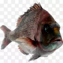鱼png图片剪辑艺术生鱼片寿司-鱼