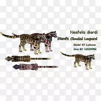 孟加拉猫动物陆生动物野生动物大猫云豹