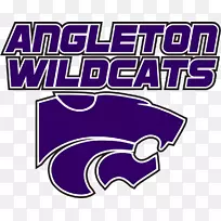 安格尔顿高中标志安格尔顿野猫-排球设计