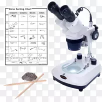 光学显微镜光学学生立体显微镜-omano om13110x/30x显微镜