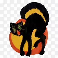 黑猫孟买猫万圣节家庭短毛猫须-万圣节