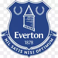 古迪逊公园Everton F.C.英超富勒姆足球俱乐部。-超级联赛