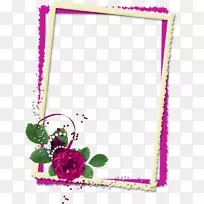 画框花卉设计png图片图像设计