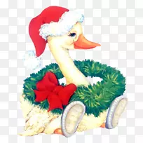 鸭鹅夹艺术圣诞日灰鹅鸭