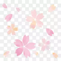 水彩画樱花插图.png