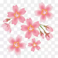 樱花夹艺术
