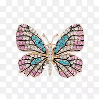 蝴蝶胸针仿宝石和莱茵石耳环首饰.蝴蝶