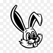 欧洲兔子剪贴画Leporid图-兔子