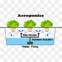 空气负离子水培农业系统组织-水培箱蔬菜