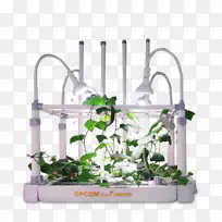 植物.自动水培箱