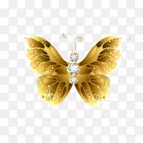 金色蝴蝶桌面壁纸昆虫蝴蝶