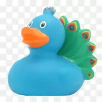 橡皮鸭玩具孔雀鸭浴-鸭子