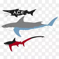 安魂利姆鲨鱼，大白鲨，巨鲨，妖精鲨-鲨鱼