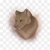 狗繁殖鼻子毛皮野生狗