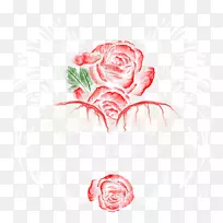 花园玫瑰，卷心菜，玫瑰，花卉设计，绘图，插图.设计