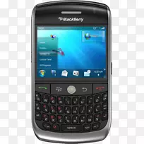 黑莓世界黑莓曲线8900-解锁-GSM iPhone有限公司-黑莓