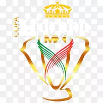 Liga MX Clausura 2018 Copa MX Aselso MX CONCAF金杯Cruz Azul-足球
