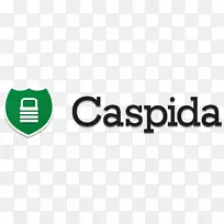 卡斯皮达公司徽标分析数据计算机软件-布鲁克戴维斯
