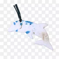 鲨鱼海豚动物鲨鱼