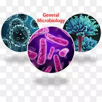 普通微生物学、微生物遗传学、微生物药物微生物学-开罗