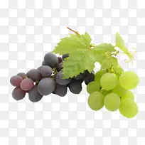 葡萄籽油巨峰葡萄叶葡萄籽提取物-葡萄