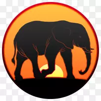MacOS电脑软件Macintosh Apple app Store-Apple