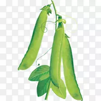 豌豆蔬菜png图片剪辑艺术素食料理豌豆