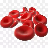 红细胞生命-血细胞