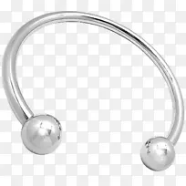 耳环银产品设计主体珠宝.银