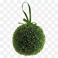 Transspavéjoliette trance和pavés-常年灌木-绿色花环