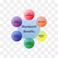 SharePoint 2010微软公司SharePoint Online Business-Business