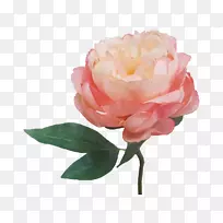 花园玫瑰牡丹人造花切花可爱的丝绸