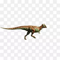 暴龙城-华东恐龙-侏罗纪世界