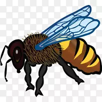 蜜蜂剪贴画昆虫开放部分-蜜蜂