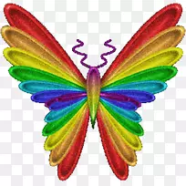 蝴蝶剪贴画彩虹彩色图像-蝴蝶