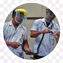 头盔服务个人防护装备产品-国际红十字志愿者